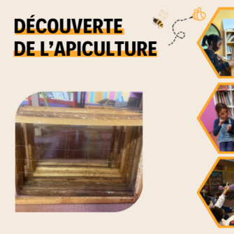 apiculteur